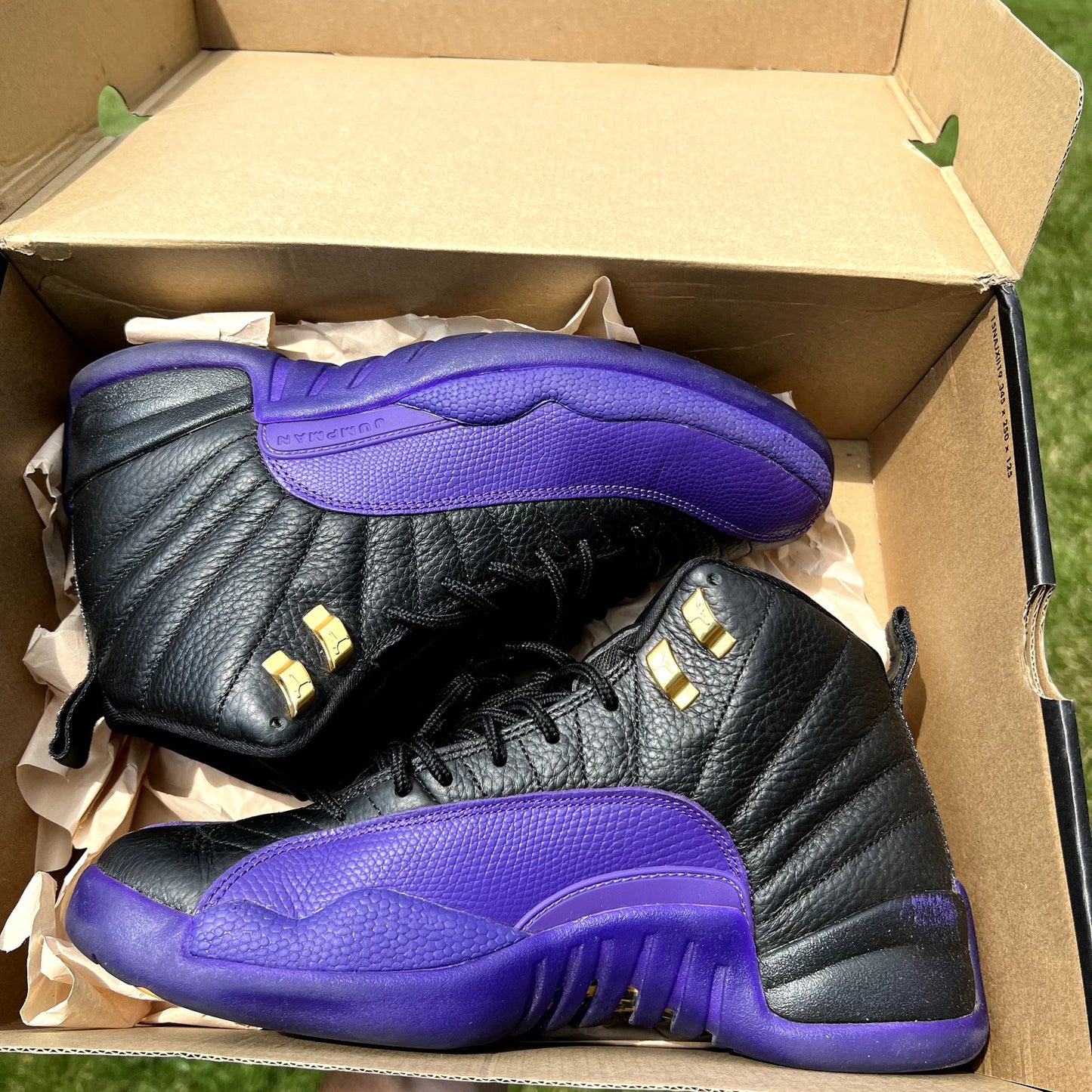 Air Jordan 12 Retro Field Purple Men's Shoes - Size 9