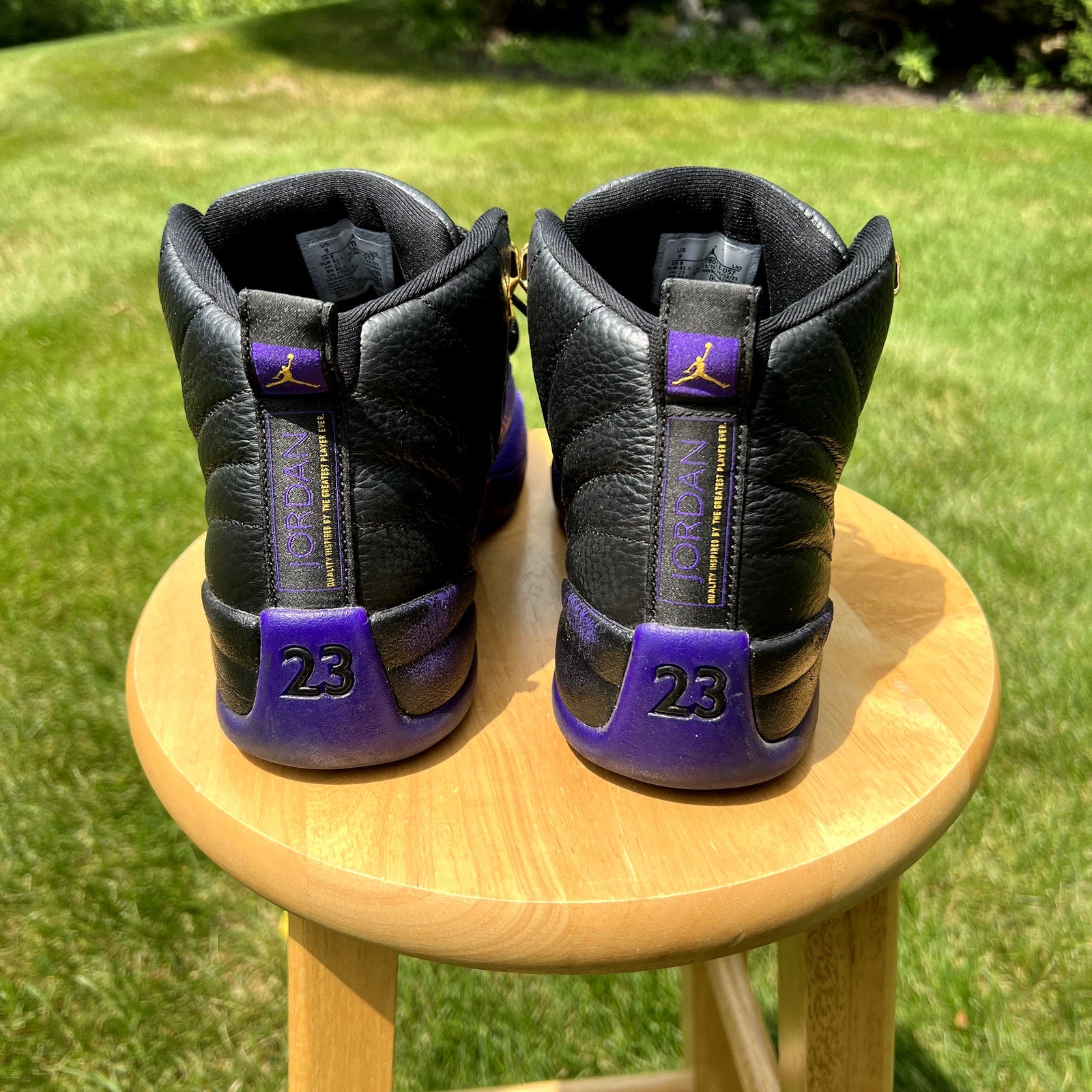 Air Jordan 12 Retro Field Purple Men's Shoes - Size 9