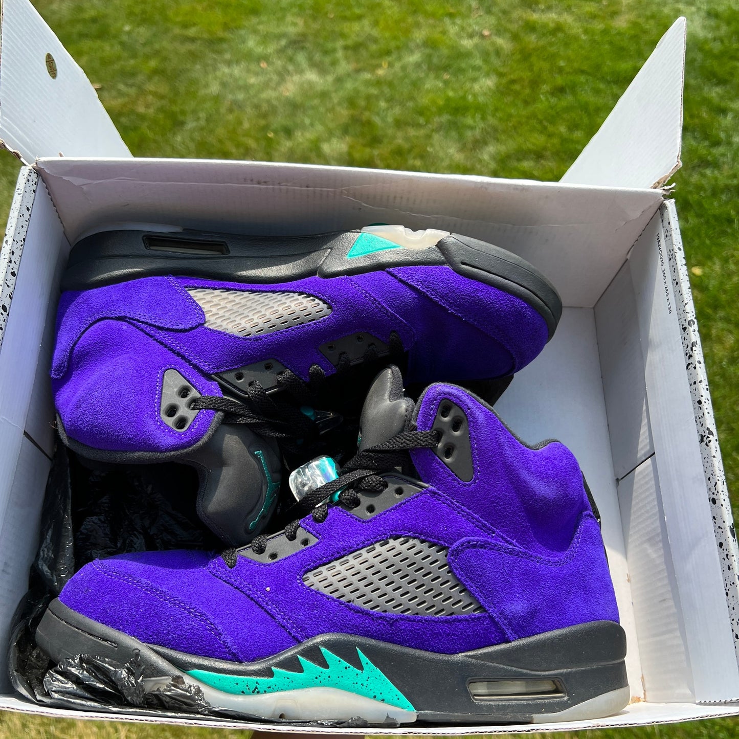 Air Jordan 5 Retro Alternate Grape Men's Shoes - Size 10.5