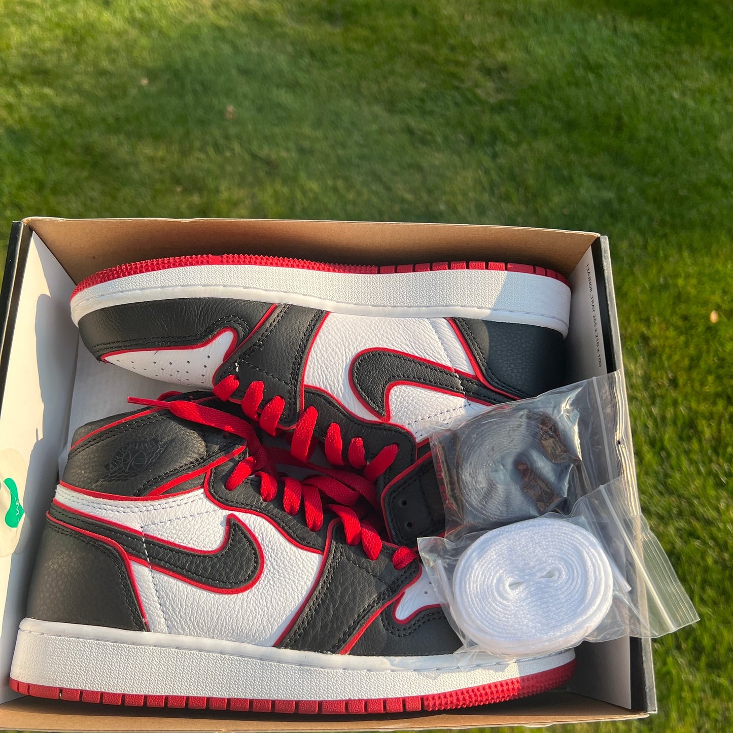 Air Jordan 1 Retro High OG BG Bloodline Men's Shoes - Size 5