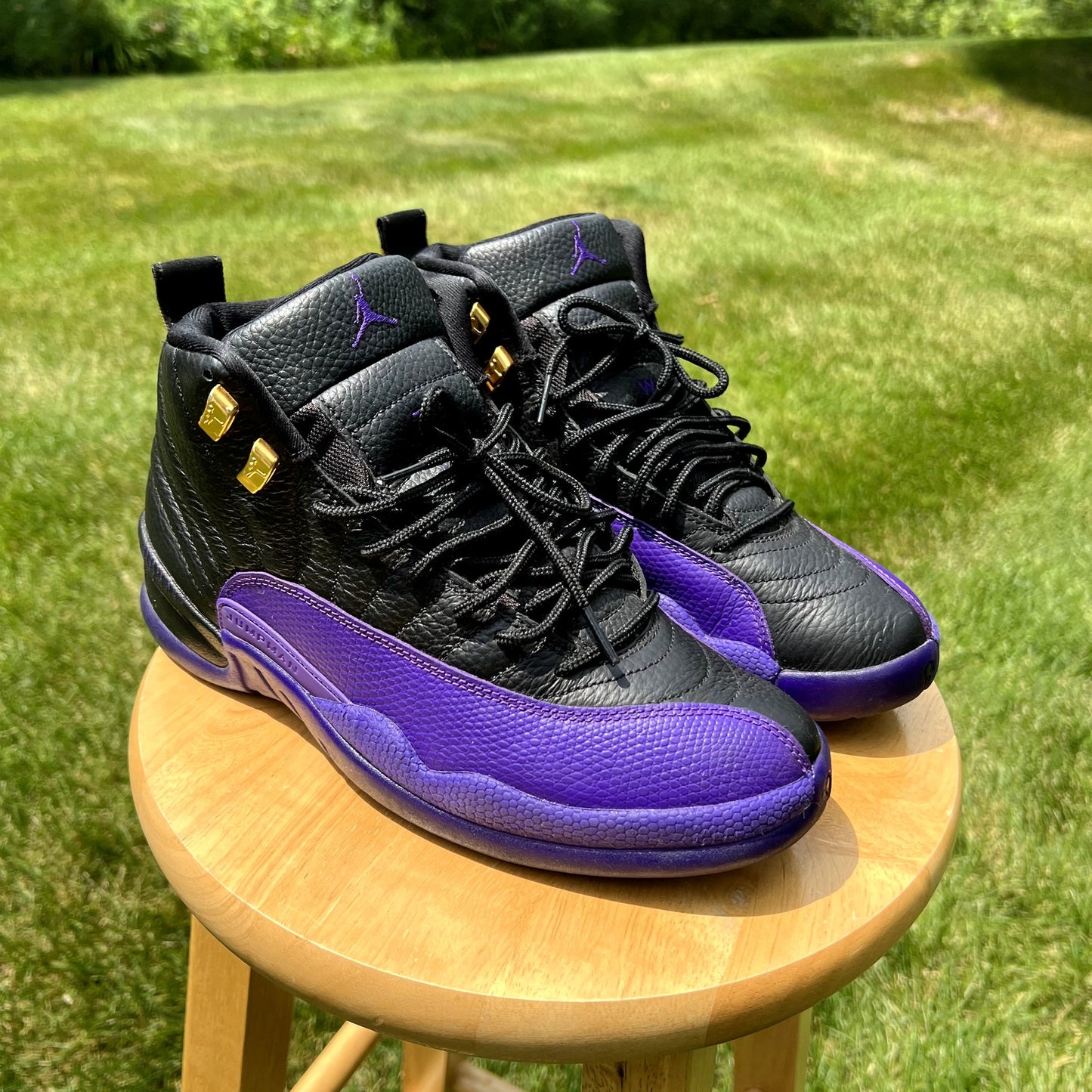 Air Jordan 12 Retro Field Purple Men's Shoes - Size 9