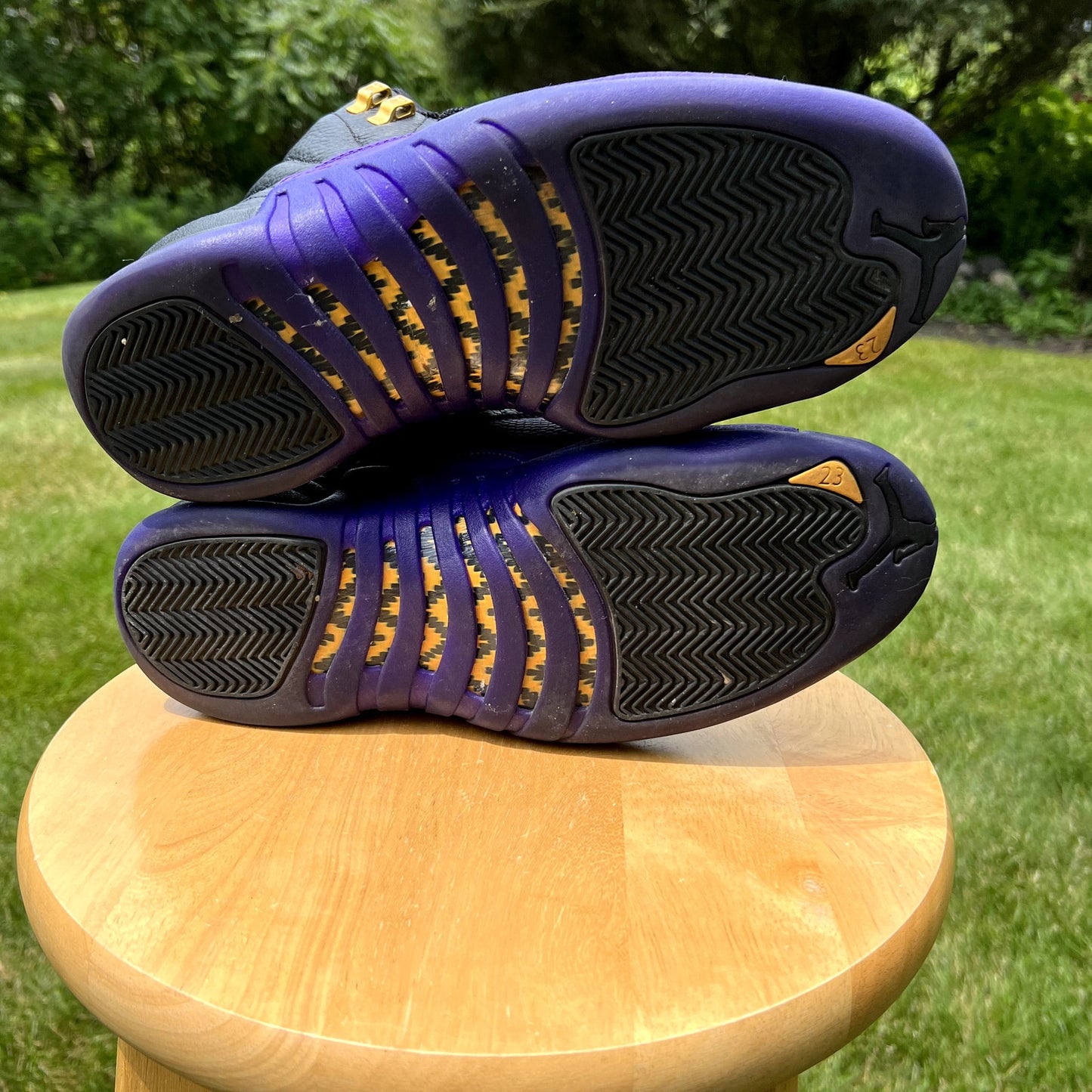 Air Jordan 12 Retro Field Purple Men's Shoes - Size 9